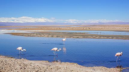 Chaxa Lagoon, San Pedro de Atacama
