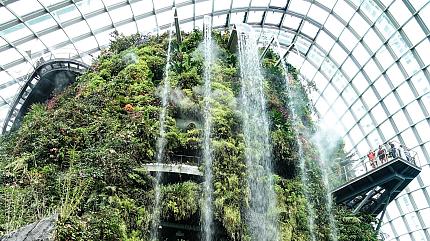 National Orchid Garden, Singapore