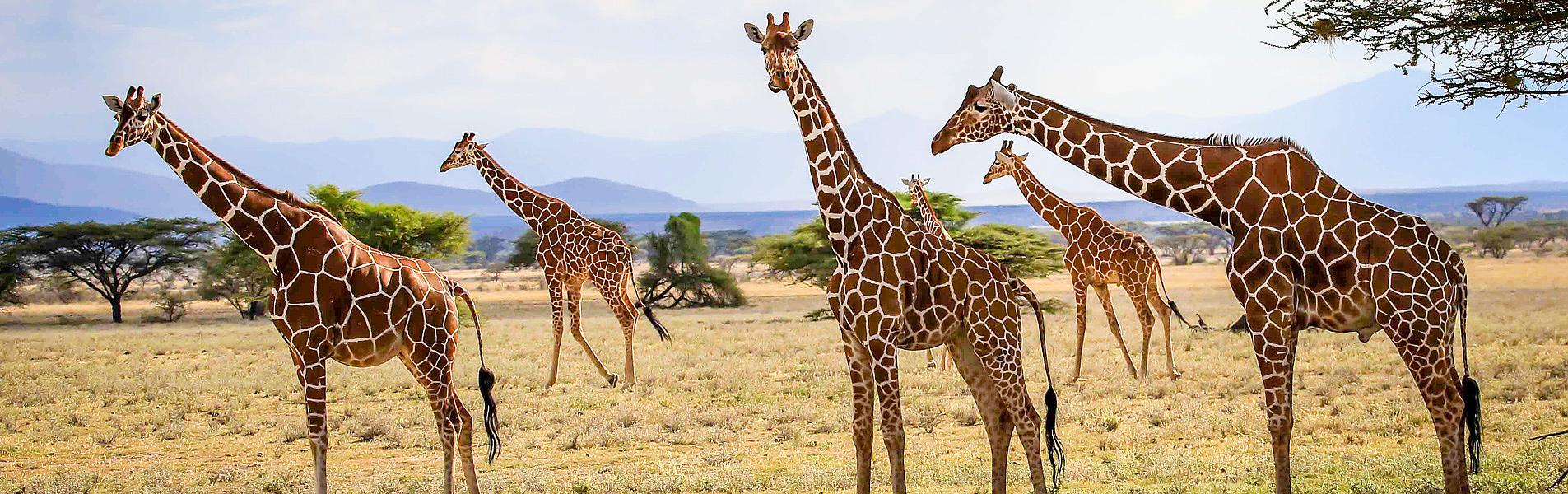 Maasai Mara National Reserve