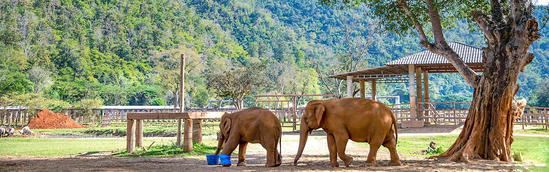 Chiang Mai