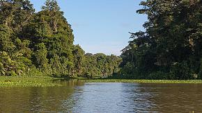 Indio Maíz Biological Reserve