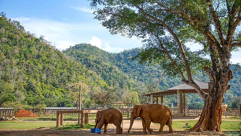 Chiang Mai