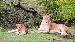Queen Elizabeth National Park