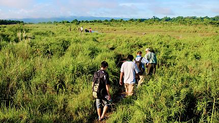 Walking in Jungle, Chitwan