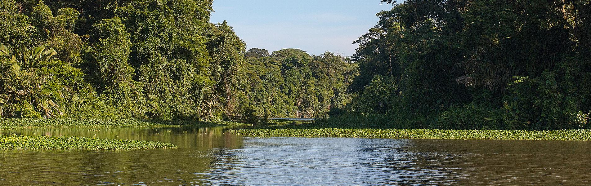 Indio Maíz Biological Reserve