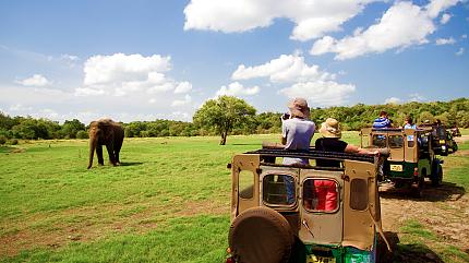 Jeep Safari in Minneriya National Park