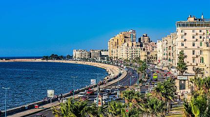 Alexandria City View