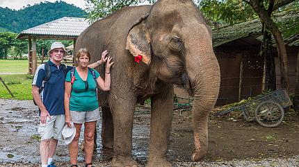 Baan Chang Elephant Park, Chiang Mai