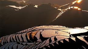 Longji Rice Terrace Tour