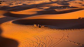 Sahara Discovery