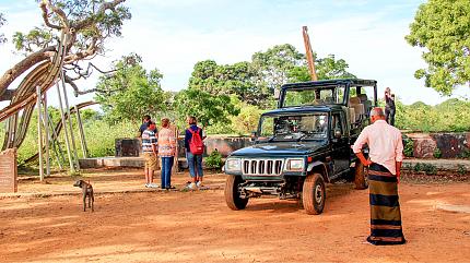 Jeep Safari in Yala National Park