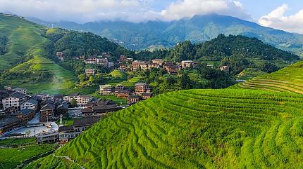 Longsheng Rice Terraced Fields, Guilin