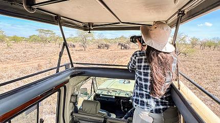 Game Drive in Serengeti National Park