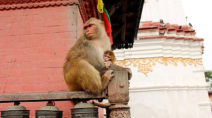 Swayambhunath Stupa, Kathmandu