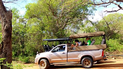 Jeep Safari in Yala National Park