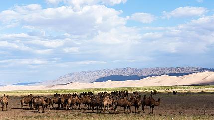 Khongor Sand Dunes, Gobi