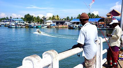 Negombo Fish Market