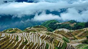 Longsheng rice terrace