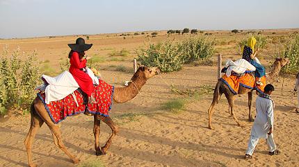 Camel Ride in Pushkar