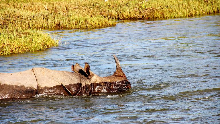 Chitwan