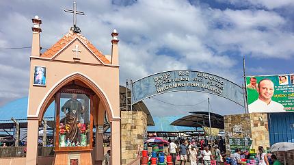 Fish Markets, Negombo