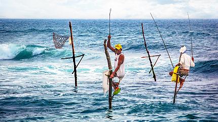 Stilt Fishermen at the Beach, Galle