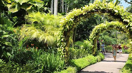 Singapore Botanic Gardens