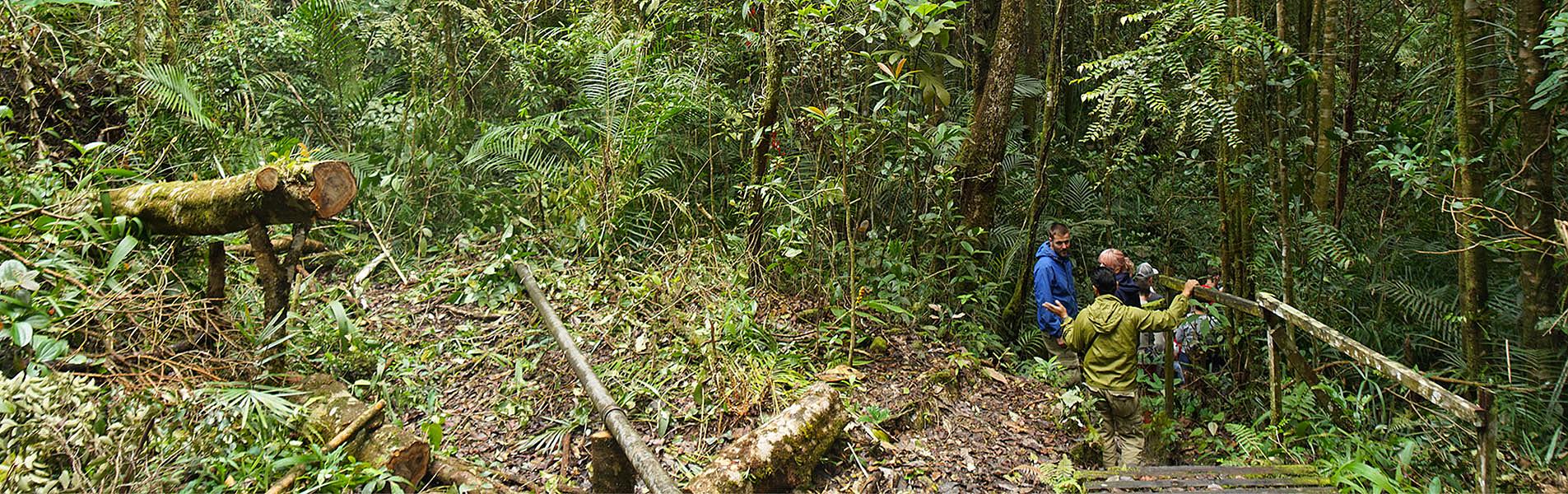 Kinabalu Park