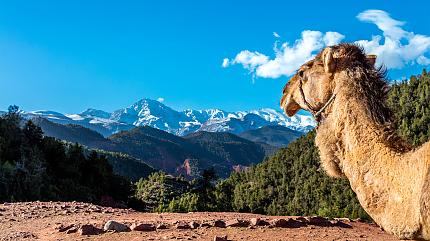 Montañas del Atlas