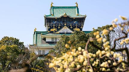 Osaka Castle, Osaka