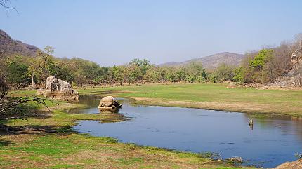 Parque Nacional Ranthambore