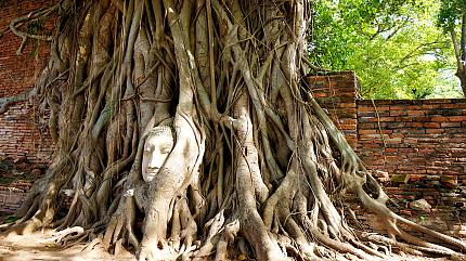 Wat Mahathat, Ayutthaya