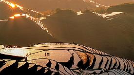 Longsheng