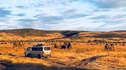 Parque Nacional Masái Mara