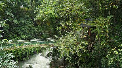 Kinabalu National Park, Kota Kinbalu