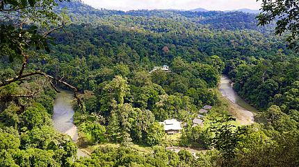 Danum Valley
