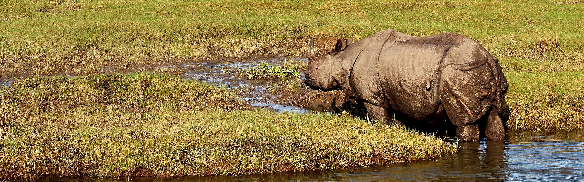 Parque Nacional de Chitwan