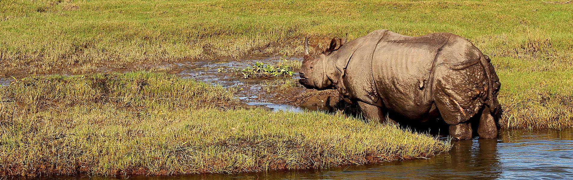 Parque Nacional de Chitwan