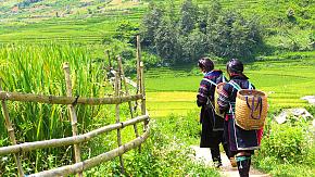 Randonnée au Sapa