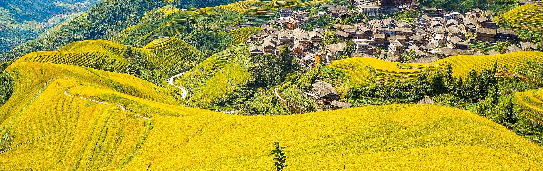 Longji Rice Terraces