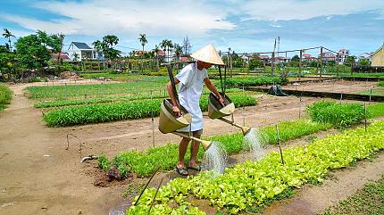 Cooking Class, Hoi An