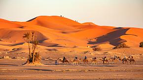 Sahara Desert 