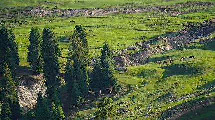 Kalajun Grassland, Tekes