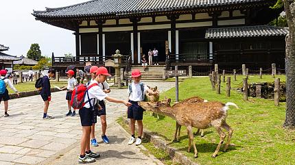Nara Park