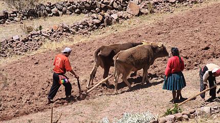 Taquile Island, Lake Titicaca