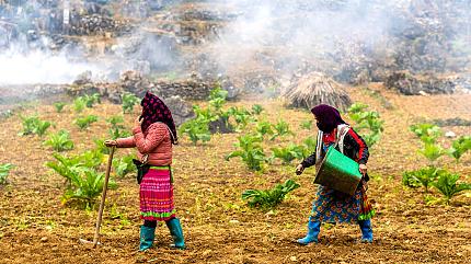 Nam Dam Village, Ha Giang