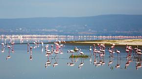Lake Nakuru National Park