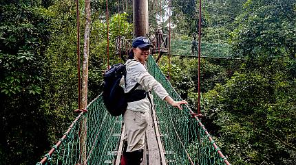 Jungle Trek, Danum Valley