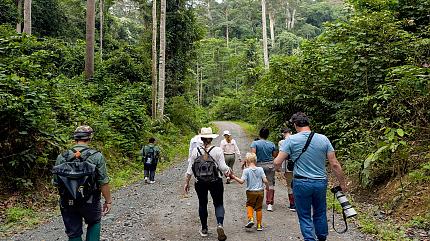 Rainforest Discovery Centre, Sandakan