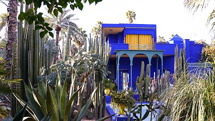 Jardin Majorelle Garden, Marrakech